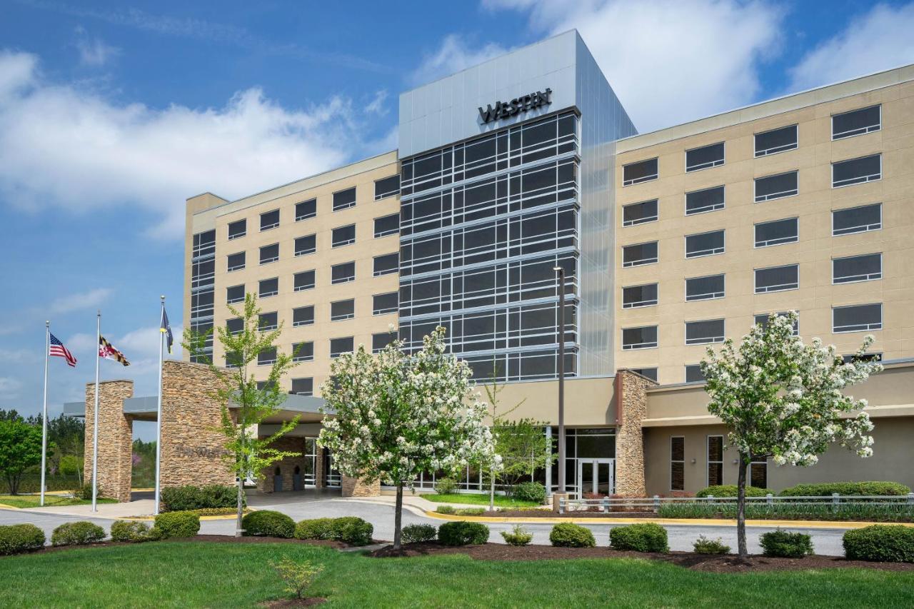 The Westin Baltimore Washington Airport - BWI Linthicum Exterior photo